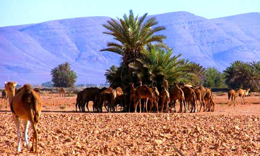 مبيت وإفطار Aït Boukha Tarmguist المظهر الخارجي الصورة