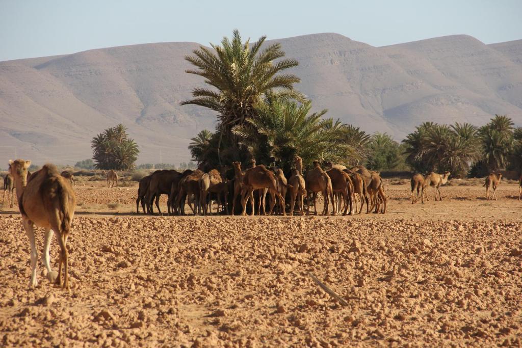 مبيت وإفطار Aït Boukha Tarmguist المظهر الخارجي الصورة